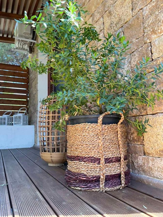 Villa Maistros Kalivaki Vourvourou Exterior foto